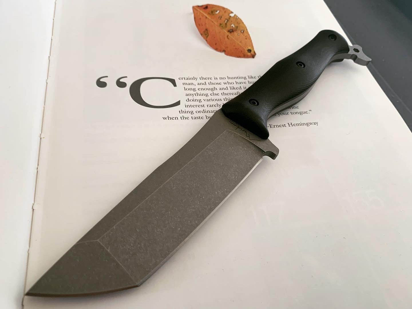 Moonbeam Chubscout (not yet available)